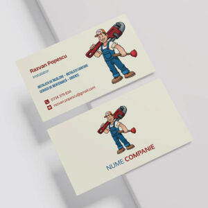 carti vizita instalator