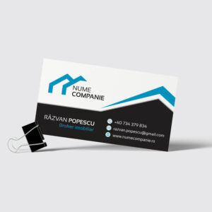 carti vizita imobiliare
