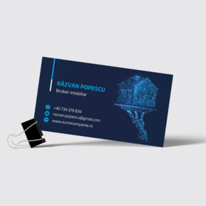 carti vizita imobiliare