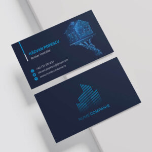 carti vizita imobiliare