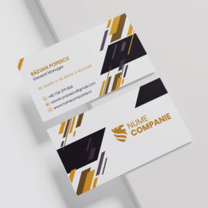 carti vizita straight