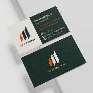 carti vizita contabil