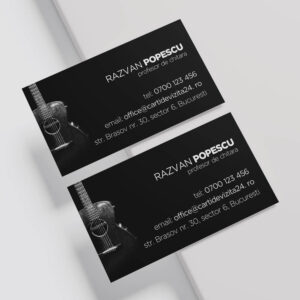 carti vizita profesori