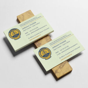 Carti de vizita carton crem texturat